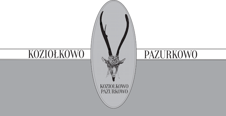 Koziołkowo Pazurkowo - Nail Studio, Author: Koziołkowo Pazurkowo - studio pielęgnacji paznokci