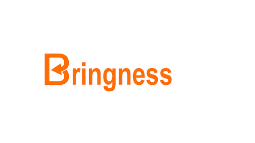 Bringness - Visual