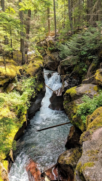 Trail of the Cedars Nature Trail