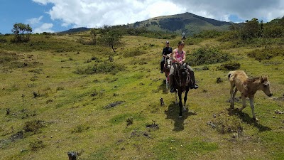 Photos of Finca Tres Quebradas