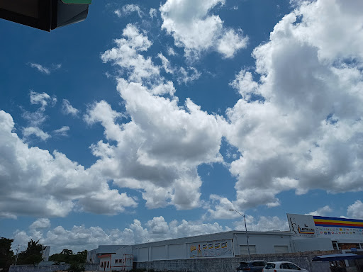 Servicio Dogre - Visual