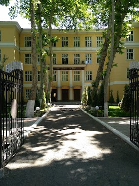 Natsional'nyy Institut Khudozhestv I Dizayna Im. K.bekhzoda - G. Tashkent, Author: Денис Манжос