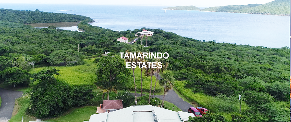 Tamarindo Estates Beach Apartments by null