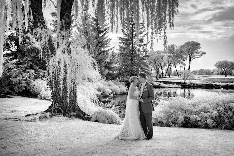 Carina Photographics Reviews