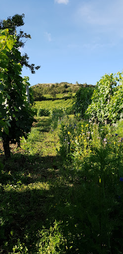 DOMAINE DU CHÉTIF QUART - Famille d'Heilly - Huberdeau - Thumbnail