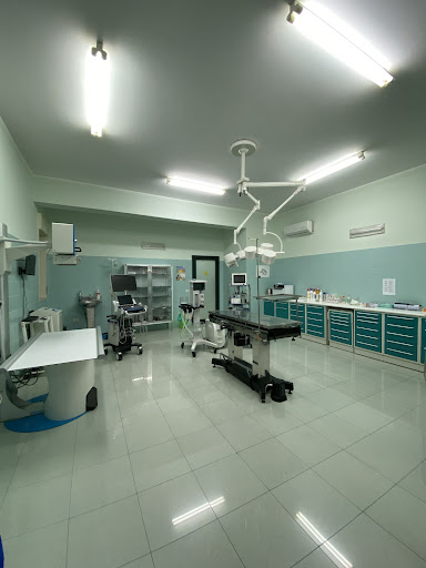 Coppolino Dr. Santi Veterinario - Thumbnail