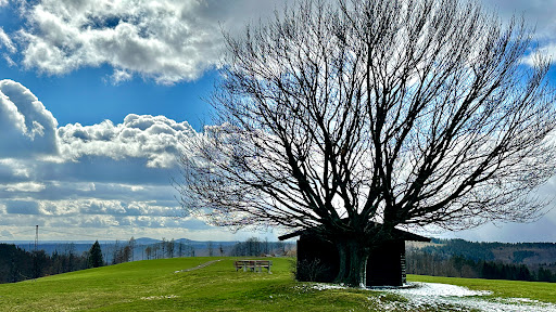 Hubertushütte (Aussicht) - Thumbnail