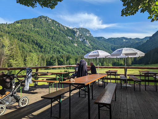 Wirtsalm - Visual