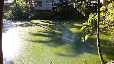 Photos of Uttor Pukur(North pond)