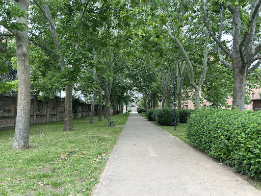 Area verde Nella Marcellino - Thumbnail