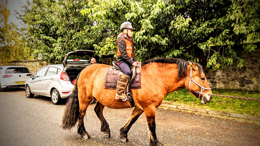 Highland Horse Fun - Thumbnail
