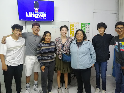 Lingwa Connection - Visual