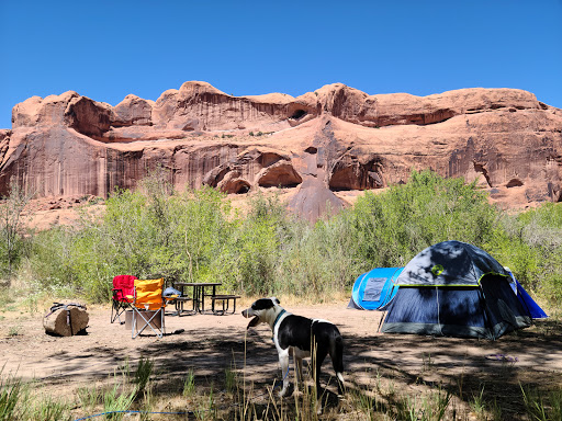 Kings Bottom Campground - Thumbnail