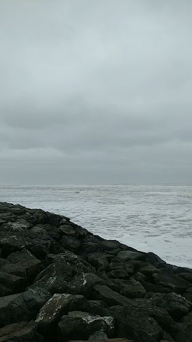 5000000, Puerto Saavedra, Araucanía