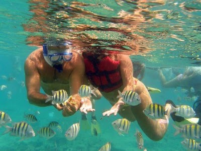 Photos of jamaica sailing adventures