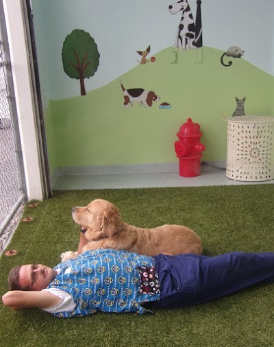 Plaza Del Amo Animal Hospital : Valentina A Sweet Little Plaza Del Amo