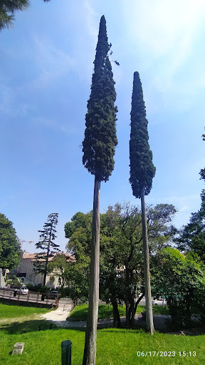 Gemelli - Visual