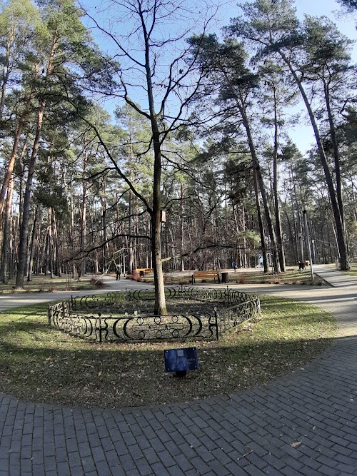 Alytus City Park