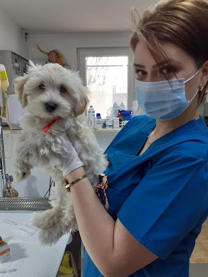 Leo Farm Cabinet Veterinar Roman