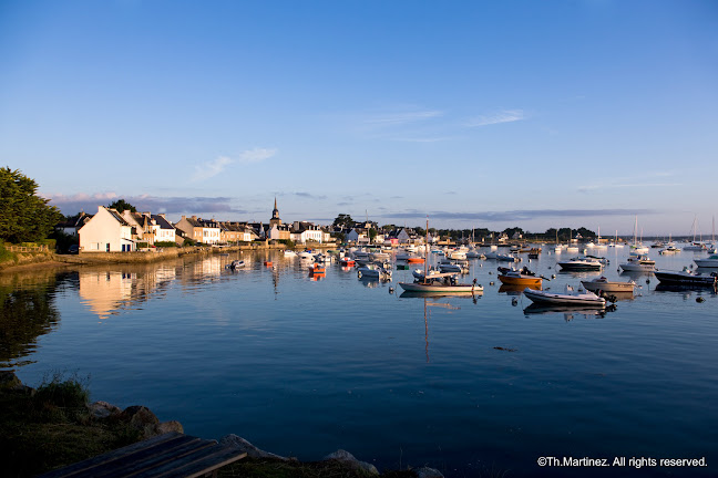 VEDETTES L'ANGELUS CROISIERES MARITIMES - Vannes