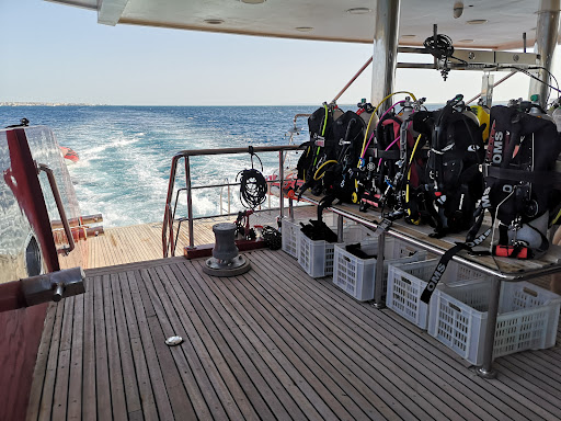 SUNY TRAVEL Viajes de buceo al Mar Rojo - Thumbnail