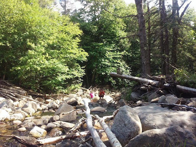 Moosilauke Ravine Lodge