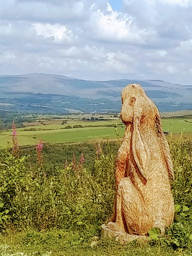 Stargazing Hare - Visual