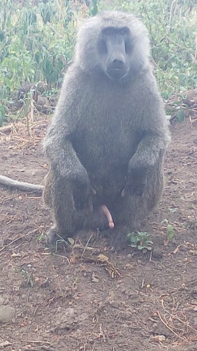 Photos of Baboon Cliff View Point