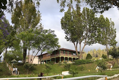 Photos of Restaurant Rincon de Borgo&ntilde;a