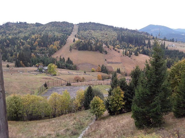 Bucovina