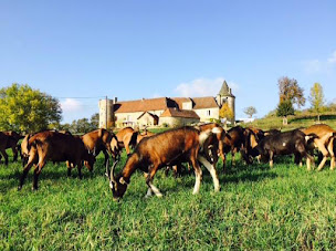 Photo n°9 de Aux Tours de Tersac à Cressensac-Sarrazac (Chambre d'hôtes)