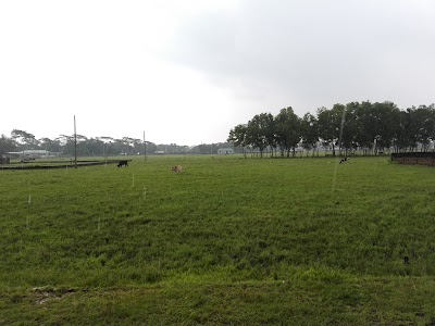 Photos of Nurbug Residential Area (Satellite City/Upashahar)