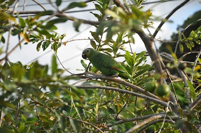 Photos of Palm View by Rodney Bay Marina