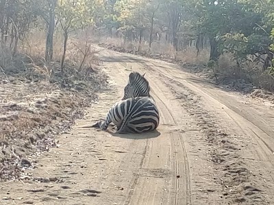 Photos of Kuti Wildlife Reserve Main Gate