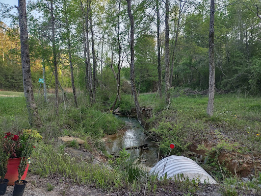 Berry Botanical & RV Campground Gallery - United States