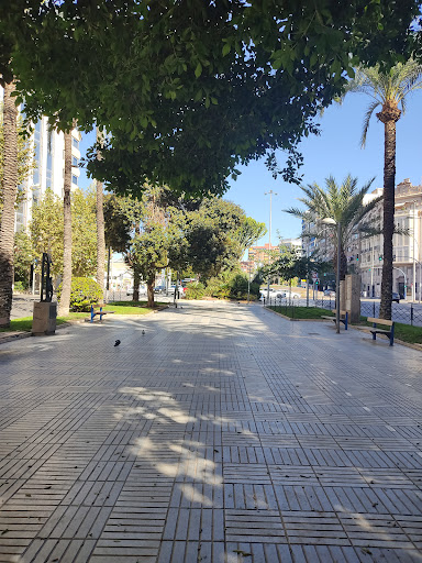 Avenida de Óscar Espla - Thumbnail