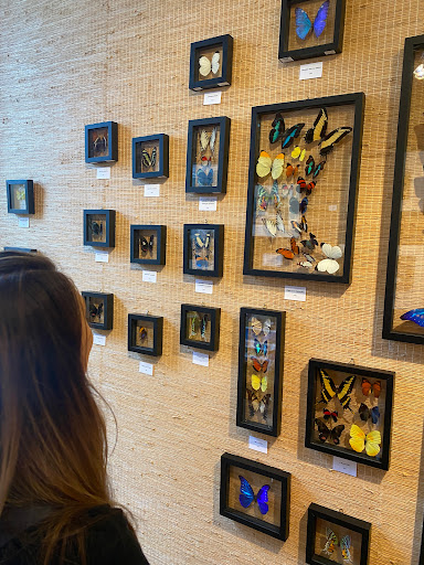 EAT Gallery - Visual