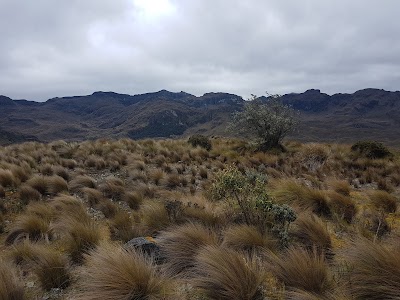Photos of Laguna Marmolcocha