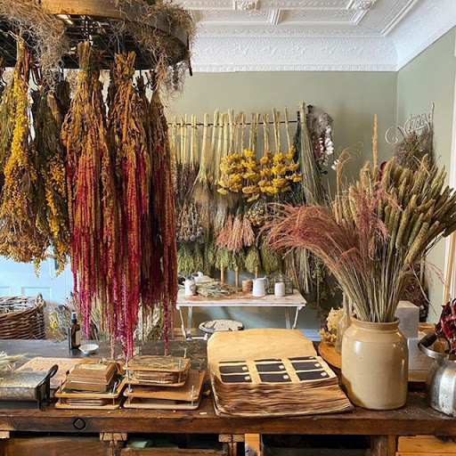 The Quiet Botanist Gallery - United States