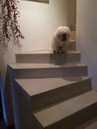 Photo n°8 de ATELIER PROVENCE PEINTURE à Tourrette-Levens (Peintre en bâtiment)