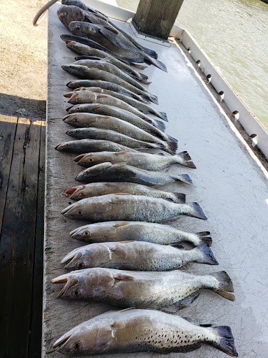 Dockside Bait - Visual