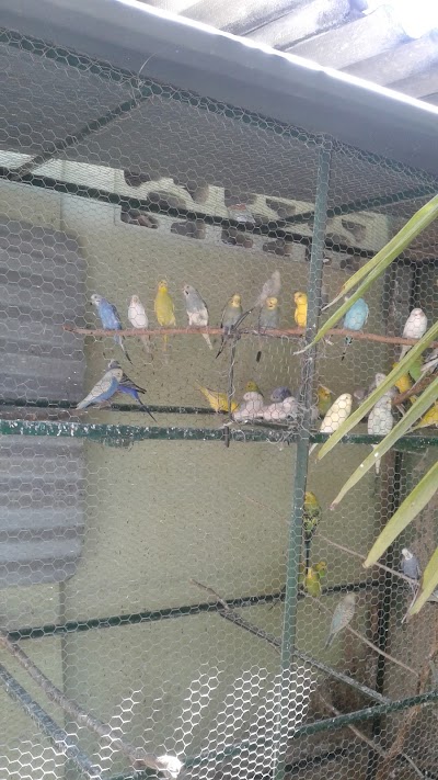 Photos of Oficinas De Acualco