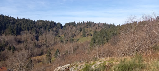 Étang Pralethia - Thumbnail