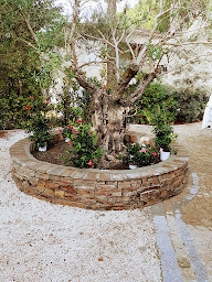 Photo n°9 de Jardins du sud à Sainte-Maxime (Jardinier)