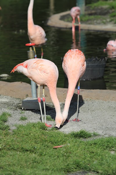 Memphis Zoo Aquarium