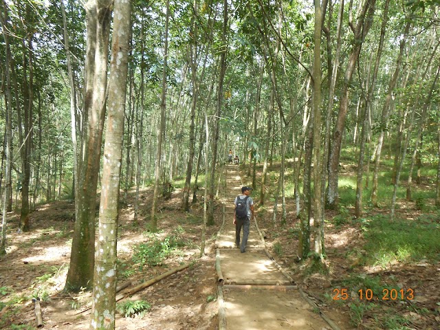 Bukit Lawang-Jungle Trekking