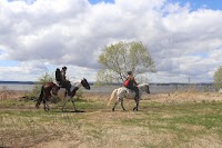 三沢ホースパーク misawa horse park
