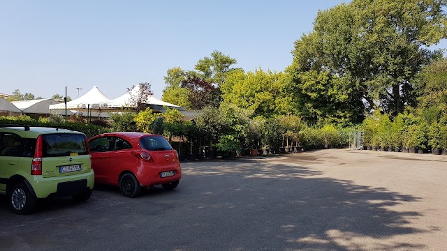 Fratelli Ingegnoli il vivaio