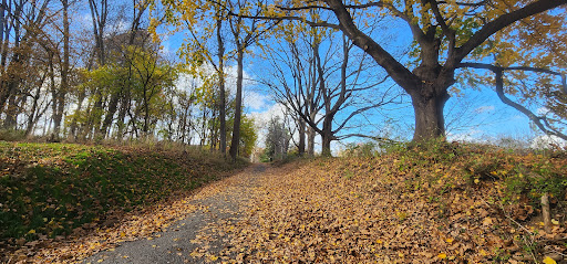 Yellow Springs Trail Parking Lot - Thumbnail