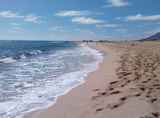 Vivi Fuerteventura - Thumbnail